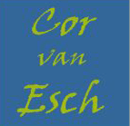 CvE logo